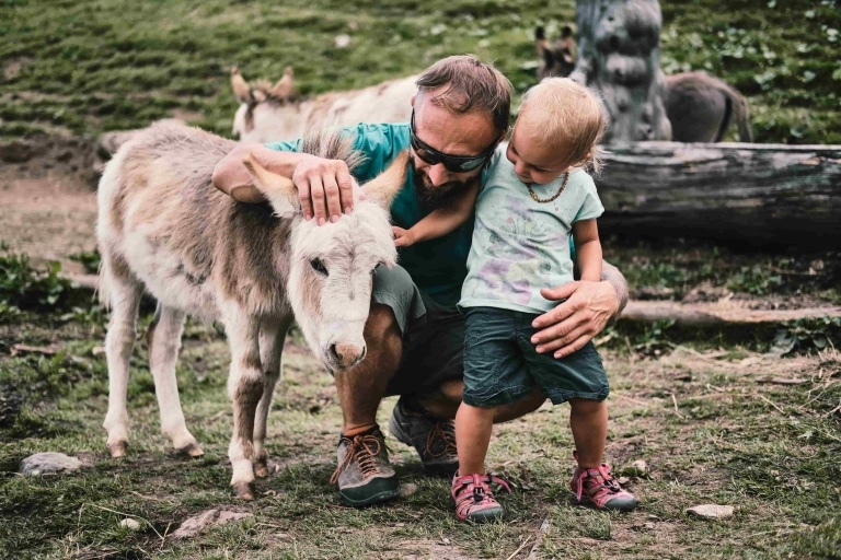 Vater streichelt mit seinem Kind einen kleinen Esel im Streichelzoo im Funpark Fiss in Tirol.